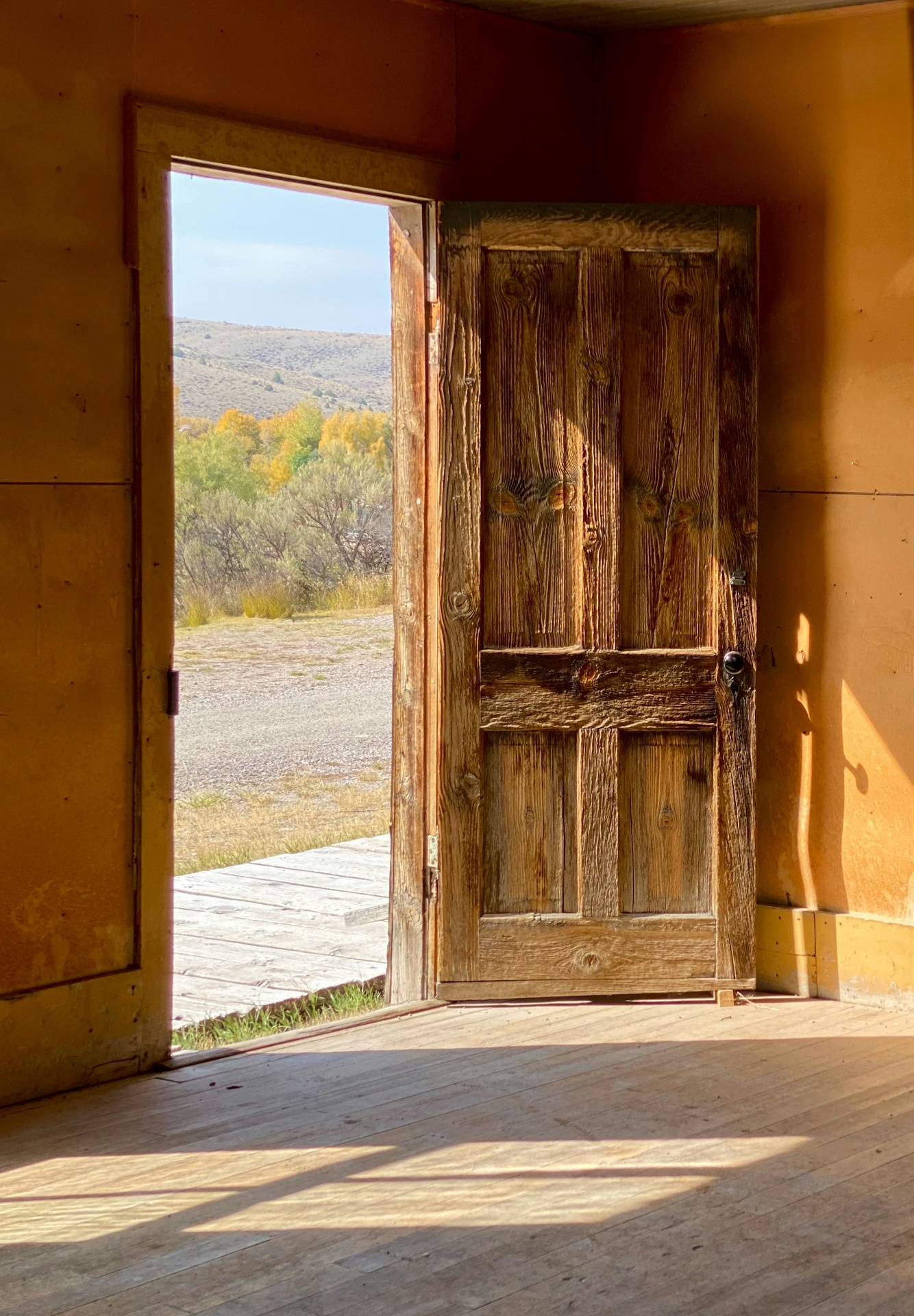 An open wooden door revealing a sunlit landscape beyond
